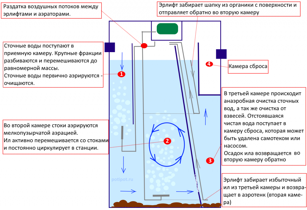 итал антей6.png